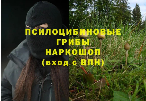 ECSTASY Арсеньев
