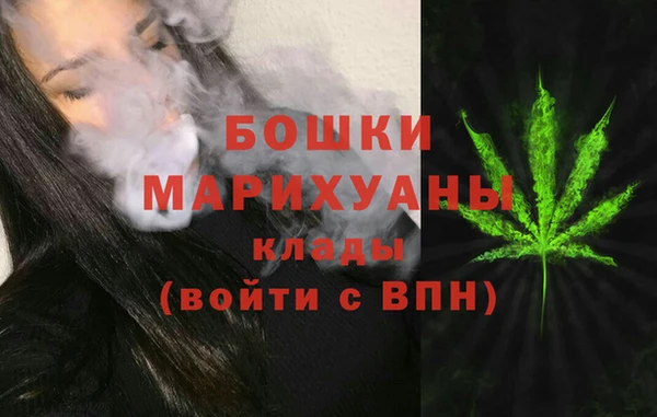 сатива Армянск