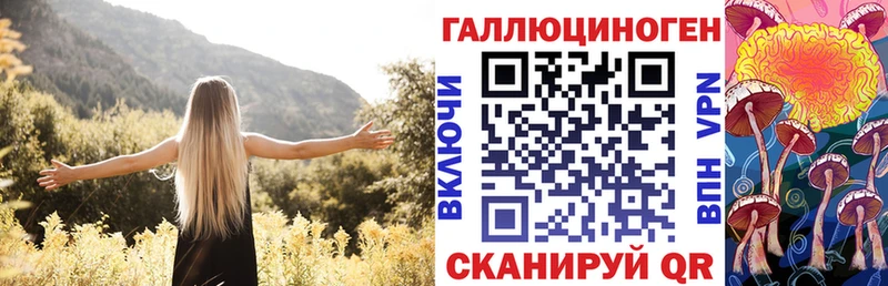 сайты даркнета наркотические препараты  Бавлы  Псилоцибиновые грибы Psilocybe 